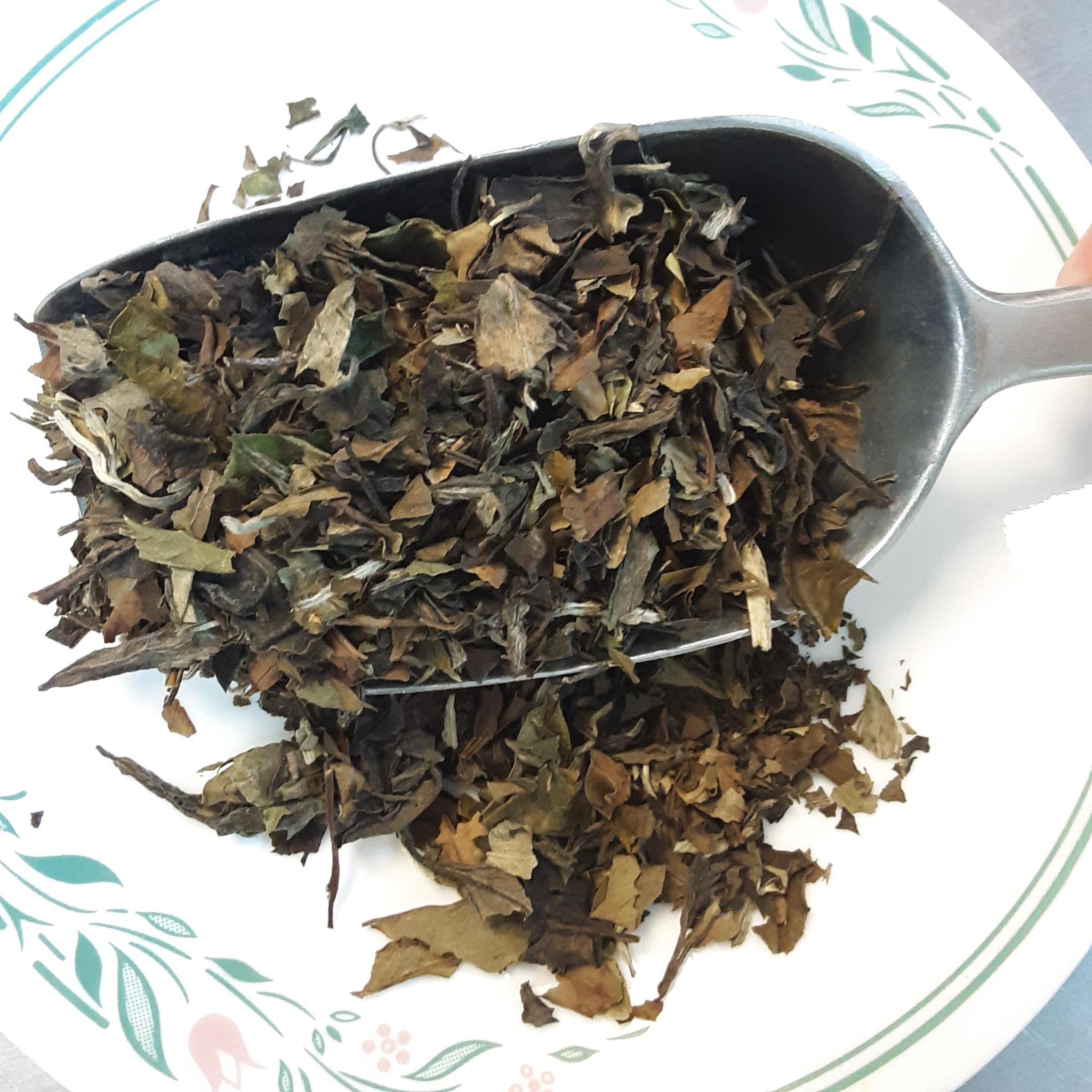 Shu Mee White Tea Local House of Health