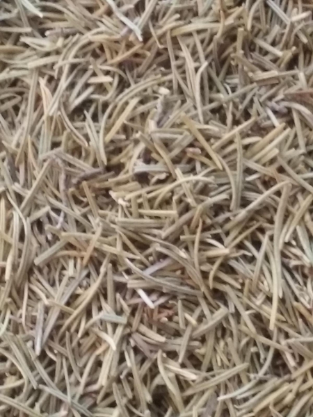 Rosemary Leaf, Organic, Cut