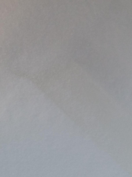 MSM Powder