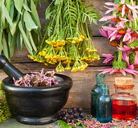 Dried Loose Herbs