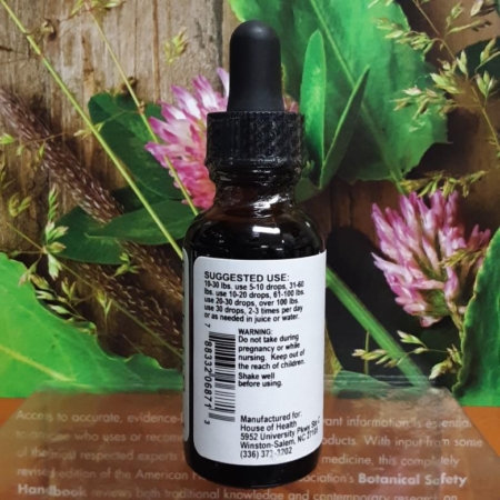 Kid's Bronchial Alcohol Free - Image 3