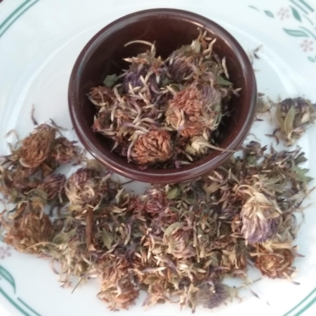 Red Clover Blossoms, Organic, Cut