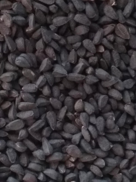 Cumin Seed (Black), Organic, Whole