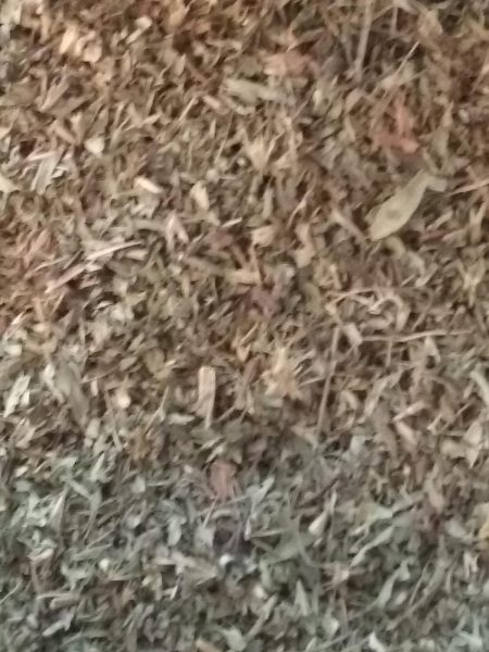 Stevia Leaf, Organic, Whole
