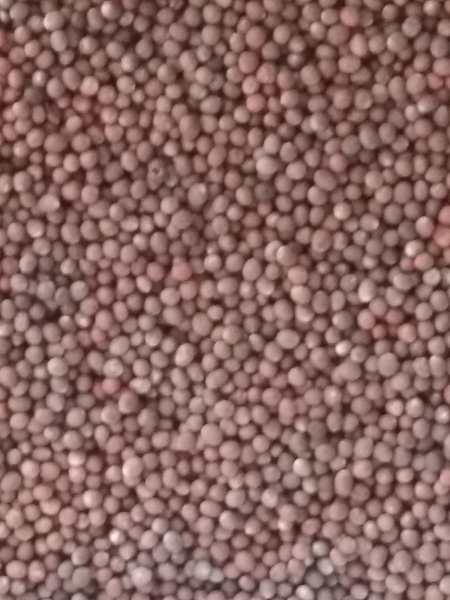 Mustard Seed (Brown), Organic, Whole
