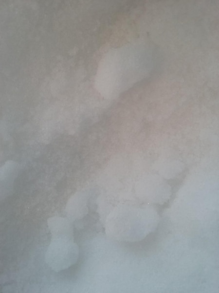 Camphor, Granules