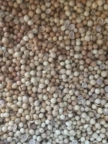 Coriander Seed, Kosher, Whole