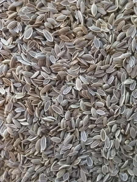 Dill Seed, Whole