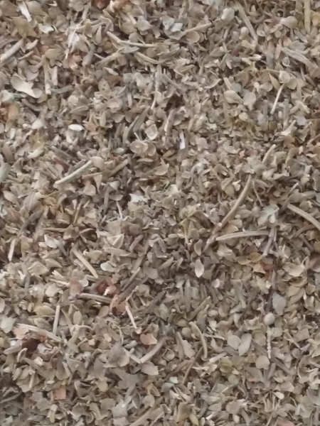 Italian Seasoning, Organic